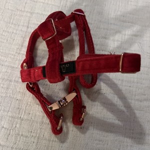 ARING PET XS DOG HALTER RED VELVET