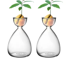 2pcs Small Avocado Seed Starter Vase,Avocado Tree Growing 2pc Avocado Vase