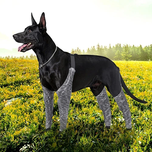 Neues Design verstellbare Hundehose und Ärmel, um zu verhindern, dass Hund Regenerationsanzug lecken - Bild 8 von 16