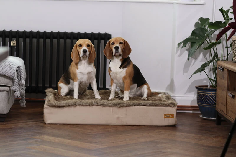 Smart Pet Beds - Dog/Cat - High Quality - Natural - Handmade - Fur Cover
