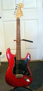 fender stratocaster bolsa