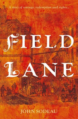 Field Lane by John Sodeau Paperback Book