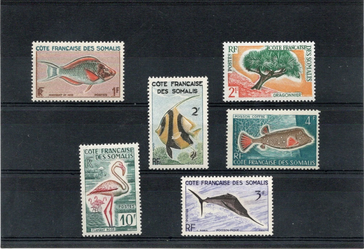 Affiche, Les Animaux Aquatiques (téléchargeable) | Ressources