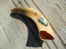 YALILAND SHOFAR 10 3/4'' HORN MADE IN ISRAEL, ALL POLISHED