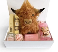 Highland Cow Gift Box Hamper Chocolate, Tumbler  & Teddy