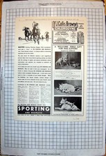 Antique Print Adverts Chlorodyne Bottle Dog Portraits Xmas Gift Racing 1935