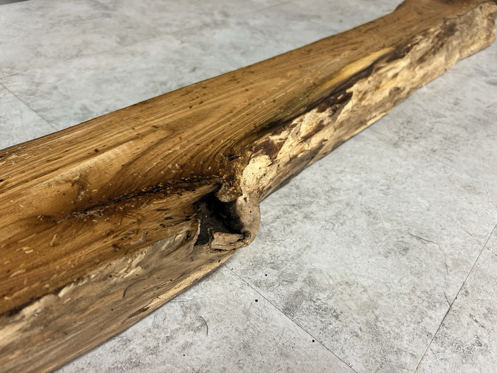 Live Edge Butternut Wood Slab/White Walnut/Kiln Dried Lumber / Turkey Call Wood