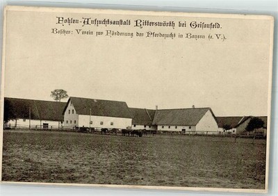 13537589 - 8069 Geisenfeld foal rearing facility Ritterswoerth horse pasture