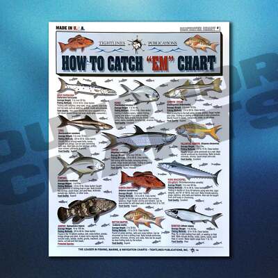 How to Catch 'Em Saltwater Fish Identification #1 - Waterproof Quick Reference G