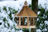 "Geflammtes Vogelhaus \"Caliente\" Futterhaus WildvöGel Futterstation Holz HäNgen"