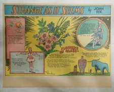 Strange As It Seems: Harvard Collection Of Glass Flowers by Hix from ?/1941