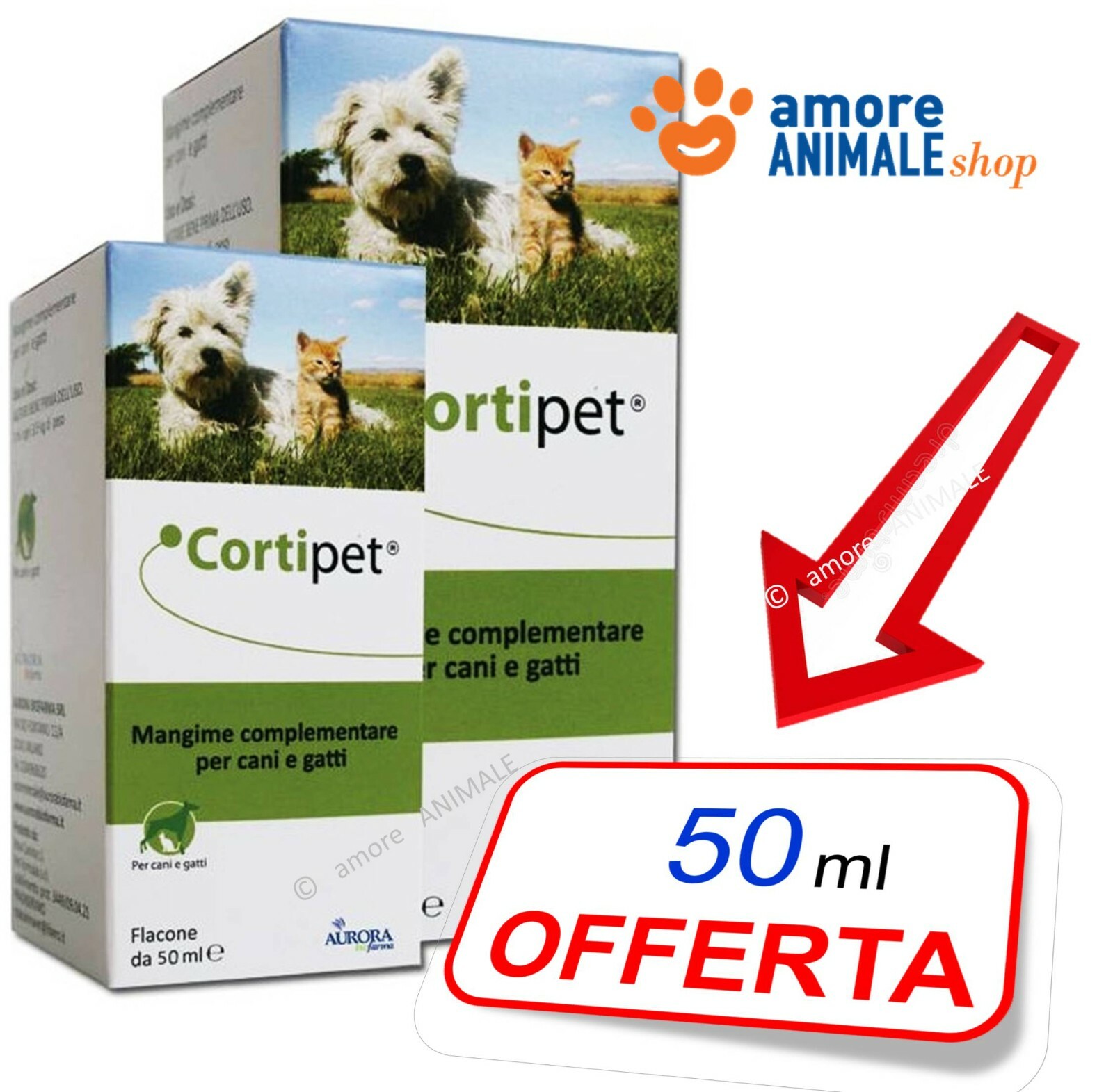 CORTIPET → 50 / 100 ml per CANI e GATTI Cura le Infiammazioni Dermatiti Allergie: → confezione 100 ml/100 ml img