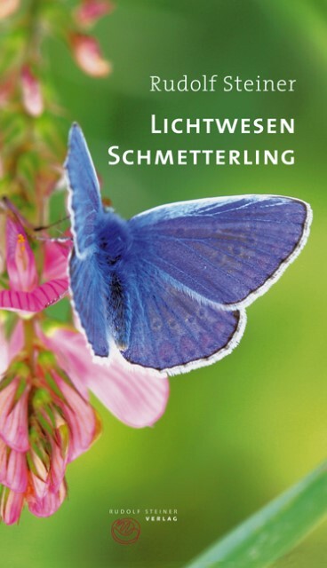 Thumbnail - Lichtwesen Schmetterling Steiner Rudolf