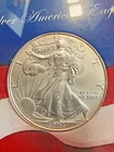 2004 1 oz Silver American Eagle (Brilliant Uncirculated)in Org. Mint's Pcg.