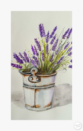 LOVELY LAVENDER- ORIGINAL WATERCOLOUR PAINTING - Picture 3 of 5