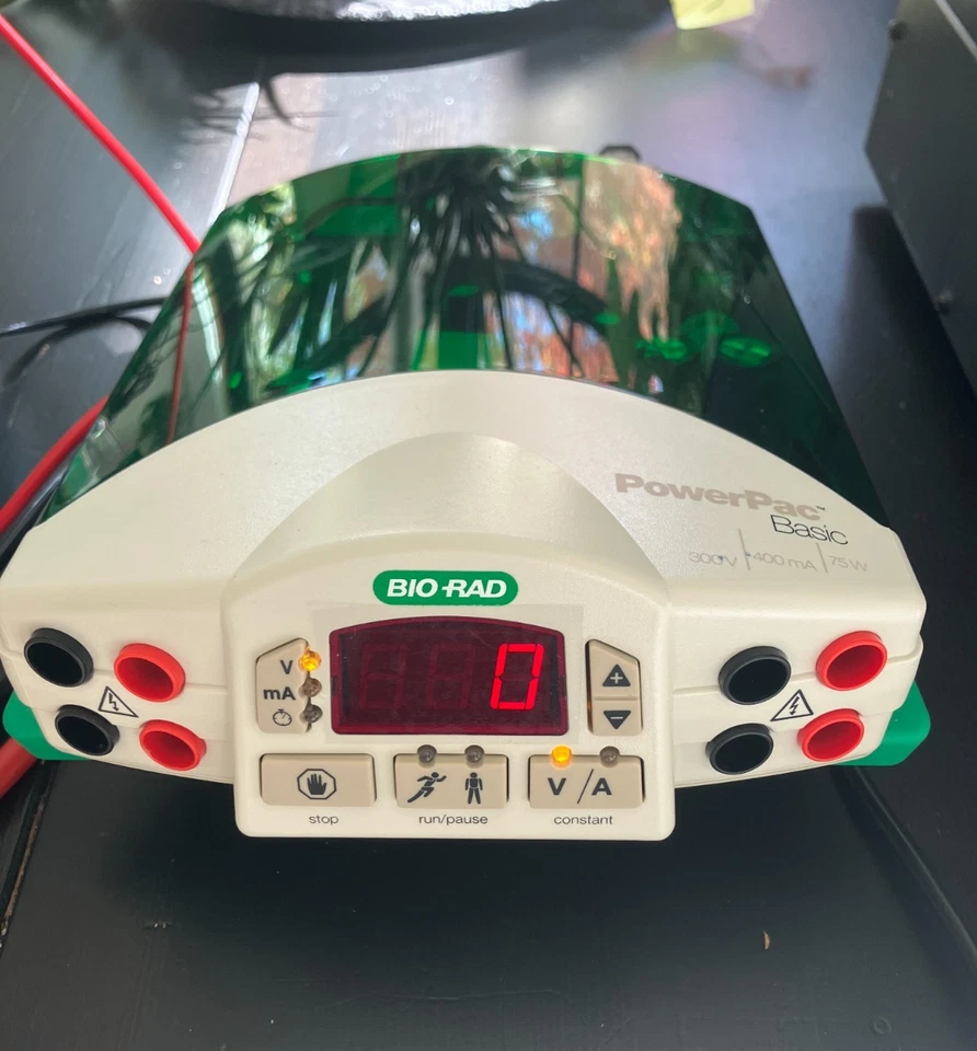 BIO-RAD PowerPac Базовый Электрофорез PS с Мини Протеиновой Системой Тетра *ПРОТЕСТИРОВАН* - Изображение 2 из 4