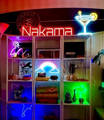 LED Neon Lights. Used In Great Condition. 5 Styles. Multicolored