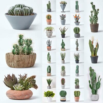 Artificial Succulent Plant Cactus/Cacti in Decorative Pot For Home/Office  Dcor | eBay