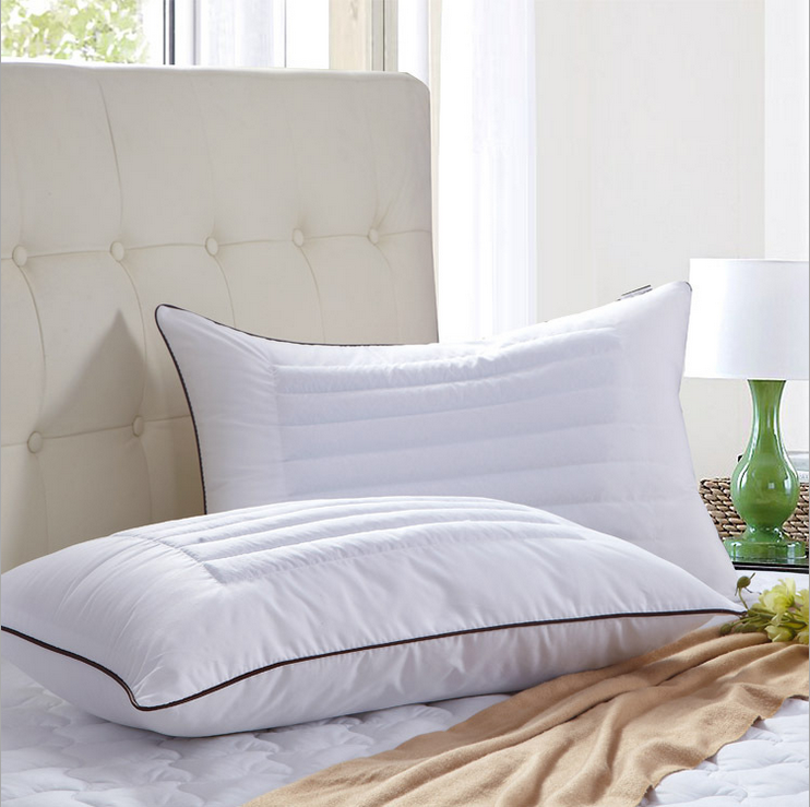 Home Pillow Luxury Soft Bed Buckwheat Pillow Dust Mite Resistant &Hypoallergenic eBay