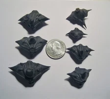 50 Devil Pods Bat Nuts Caltrops Dried Water Chestnuts