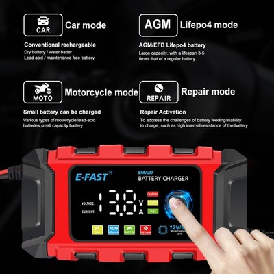 Professional intelligent car/Auto/Tricycle/Moto Battery Charger 12v/ 6A Power