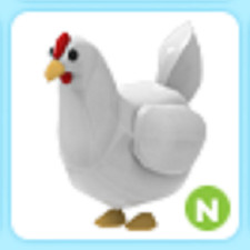 N Chicken 🔥 PET NUEVO CALIENTE 🔥 ¡La tienda de confianza!!