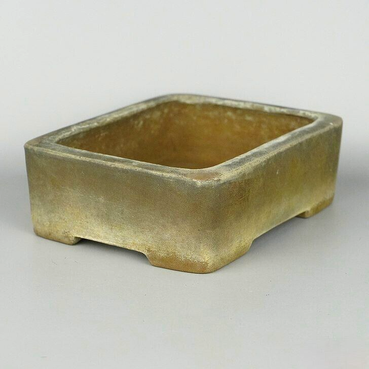 Bonsai Tree Pot Tokoname Japanese Unglazed Rectangular Small