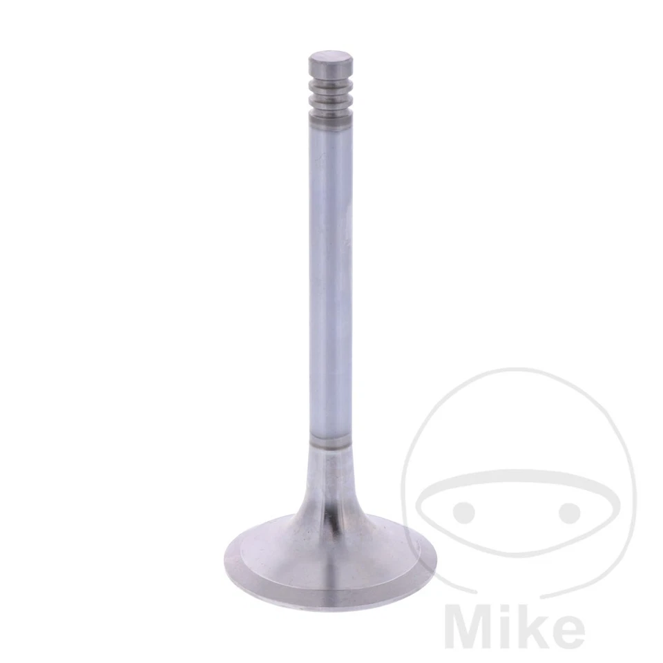 Soupape de sortie pour BMW R 80 R R 100 R Mystic R 100 R Roadster - Photo 1/1