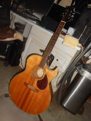 Samick Greg Bennett Rare Acoustic Electric Guitar with case