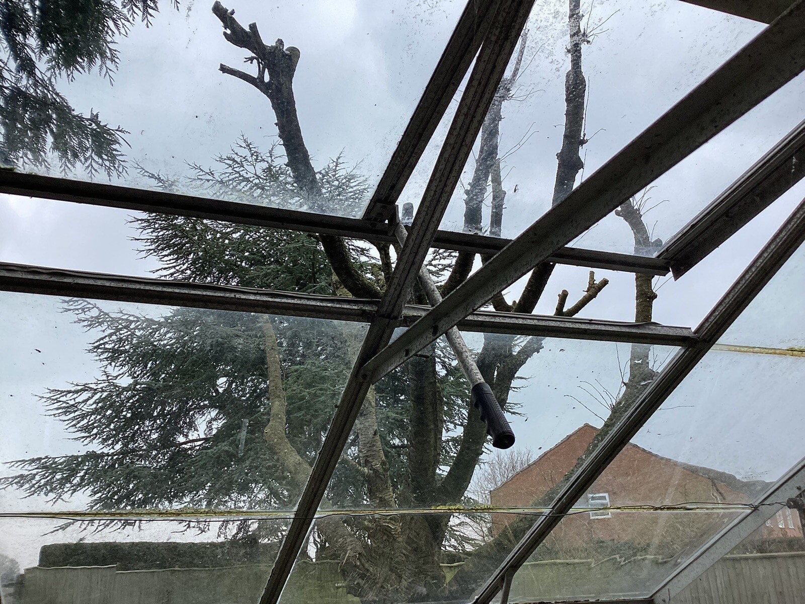 12foot X10foot 6 Inches used greenhouses for sale Pick Up And Dismantle By Buyer eBay