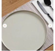 Collection Trenblay Coupe Melamine Dinner Plates in Natural Beige (Set of 11)