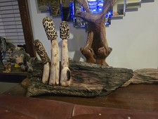 Morel mushroom wood carving