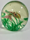 VTG CENEDESE Murano Aquarium Magnum Paperweight Fish Art Glass 5 lb Italy