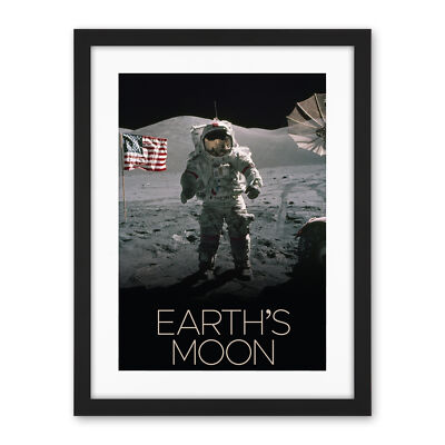NASA Our Solar System Moon Surface Apollo 17 Astronaut Framed Wall Art 18X24