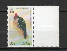 BELIZE 1979 -  Oiseau comme neuf** (mnh) pas de charnière