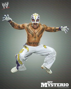 REY-MYSTERIO-WWE-WRESTLING-8X10-PROMO-PHOTO-NEW-66