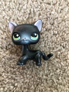 lps black cat