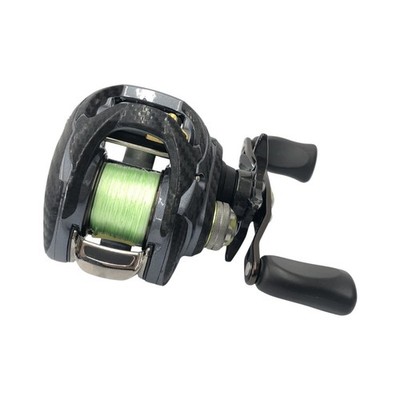 Daiwa 16 Zillion SVTW 1016SV-XXH Baitcastrolle hohe Übersetzung