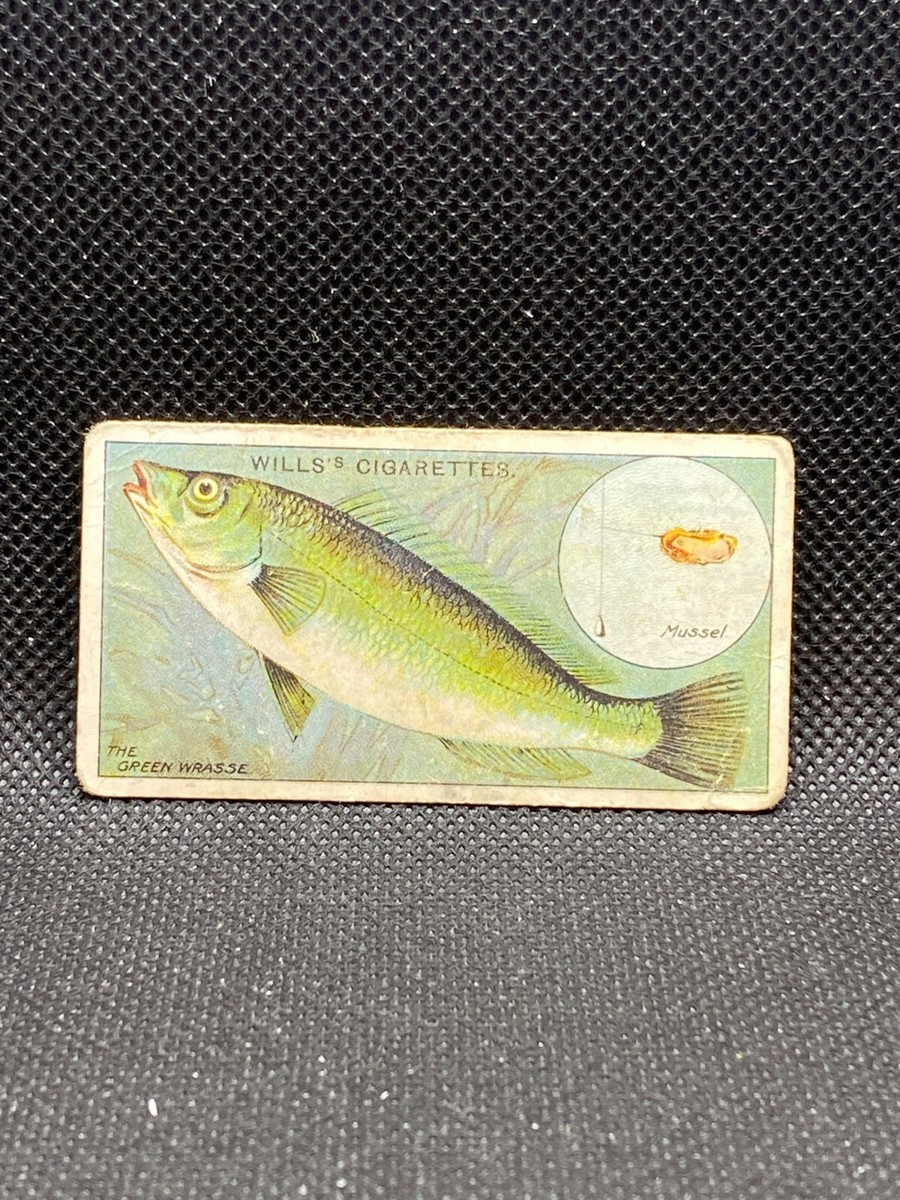 1910 Wills's Cigarettes Cards - Fish & Bait Series Singles - Imperial  Tobacco