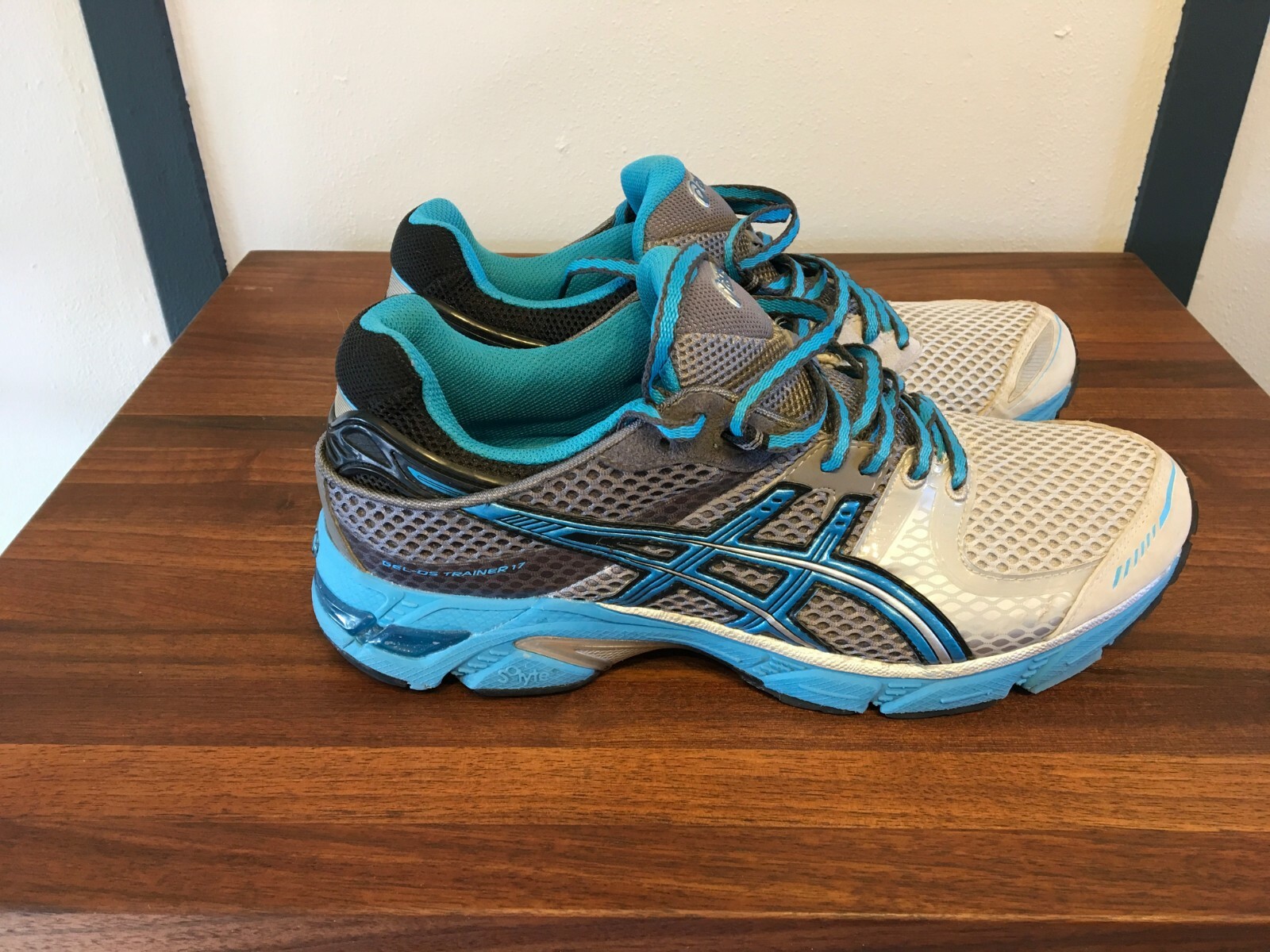 asics gel ds trainer 17 opinioni