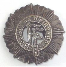 Irish Army Vickers Helmet Badge Metal with prongs