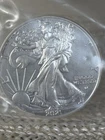 2021 American Silver Eagle $1 – 1 oz .999 Fine Silver – Type 2 Eagle Reverse