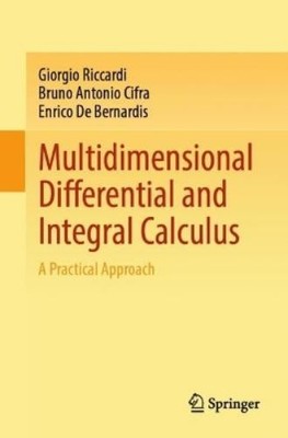 Giorgio Riccardi Bruno Antoni Multidimensional Differen (Paperback) (UK IMPORT)