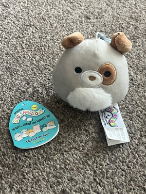 Sehr guter Zustand Kellytoy Squishmallow Harrison der Hund 3,5 Zoll Clip Plüsch Top Etikett