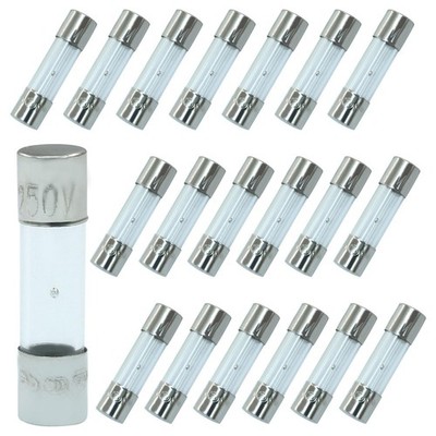 Jiozermi Slow-Blow Glass Fuses, 5x20mm, 1A 250V, T1AL250V, 20 Pcs Silver