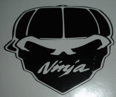 NINJA 250-ZX-6 ZX-10 ZX-14 MOTORCYCLE SKULL DECAL STICKER | eBay