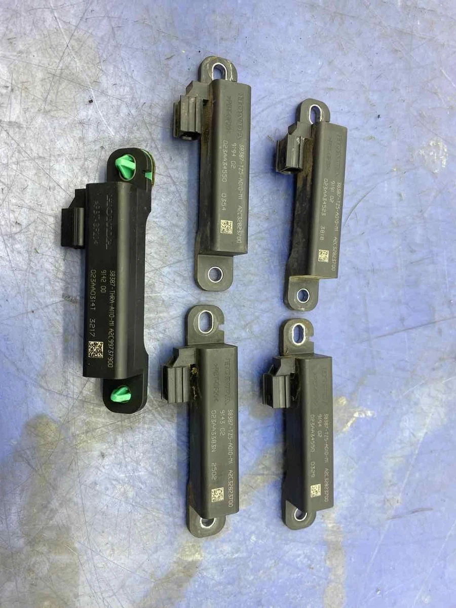 美品 正規 Ｍ相応 ポロ ラルフローレン ダブルニット ショートパンツ ブラック ダブルニット ショートパンツ（その他パンツ）｜POLO RALPH LAUREN