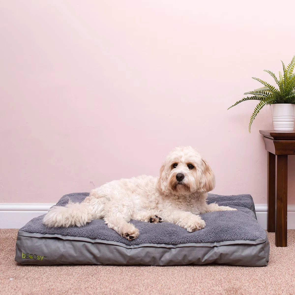 Becosy Medium Pet Bed – Soft Plush Washable Dog & Cat Bed, Comfy Cushion