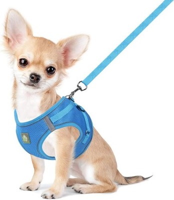 FEimaX Dog Harness with Lead for Small Dogs, Cats, Soft Mesh Puppy Harness,
