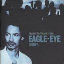 Living in the Present Future von Eagle Eye Cherry | CD | Zustand gut